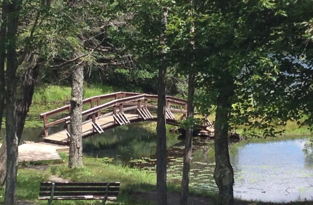 De Hoyos Memorial Park and Pond