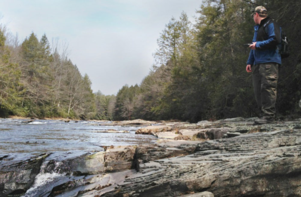 Neversink Unique Area
