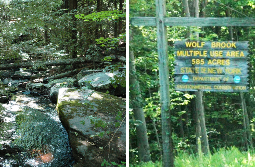 Wolf Brook Creek