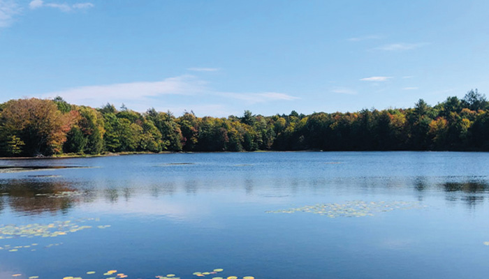 Lake Ida Park in Rock Hill on a Sunny Day