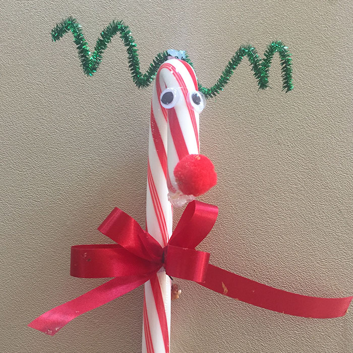 Reindeer