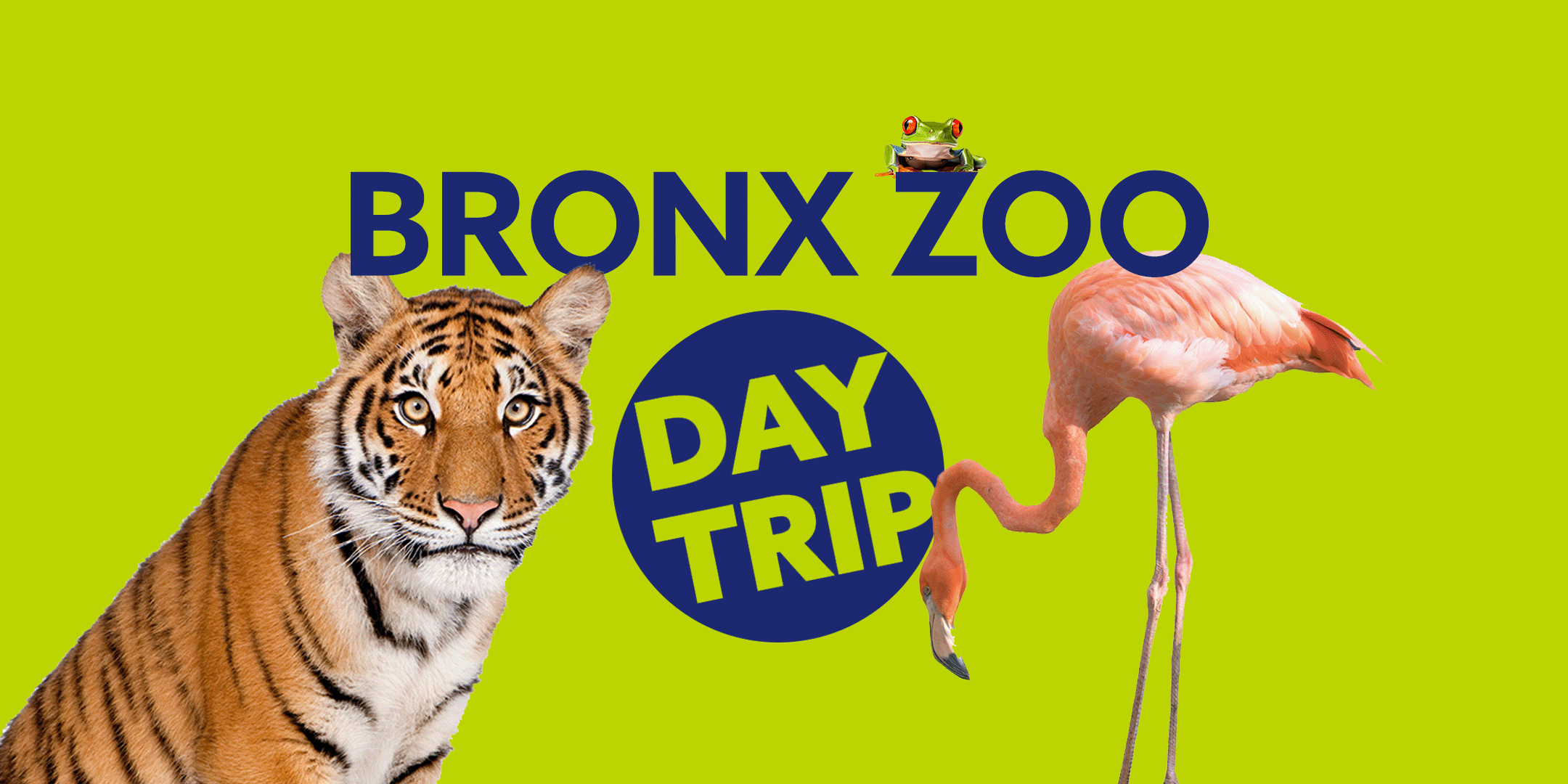 Thompson Youth Program travels to Bronx Zoo on July 21