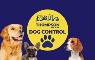 March 2024 Announcing New Dog Control Officer