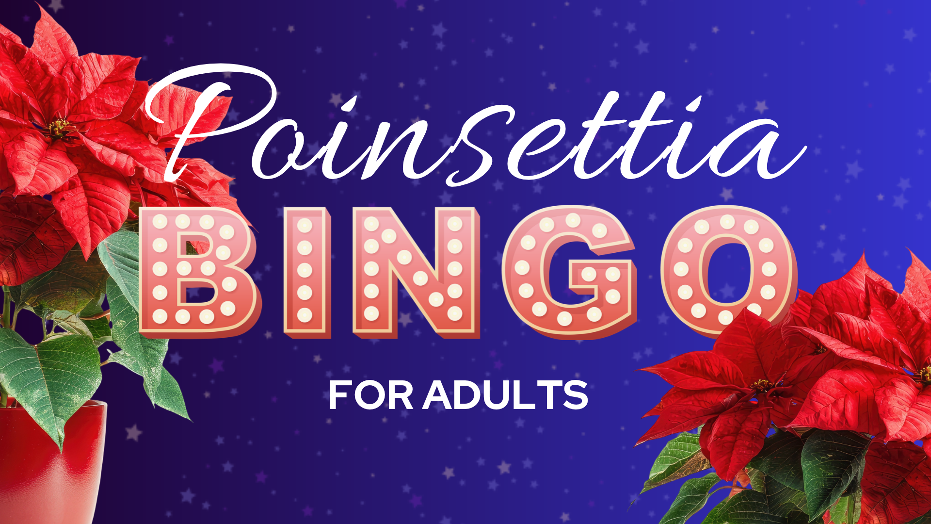 Adults can win poinsettia plants at this bingo for adults event